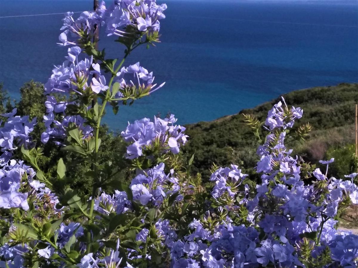 Kaminia Blu Villa Ratzaklíon Exteriör bild